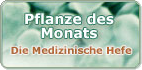 Bierhefe_Teaser